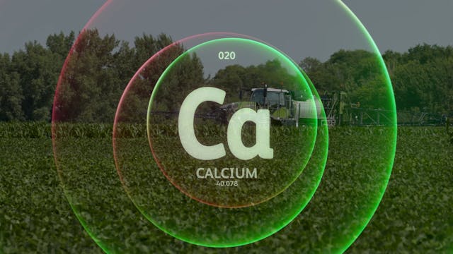 Calcium Deficiency | AgroLiquid NS