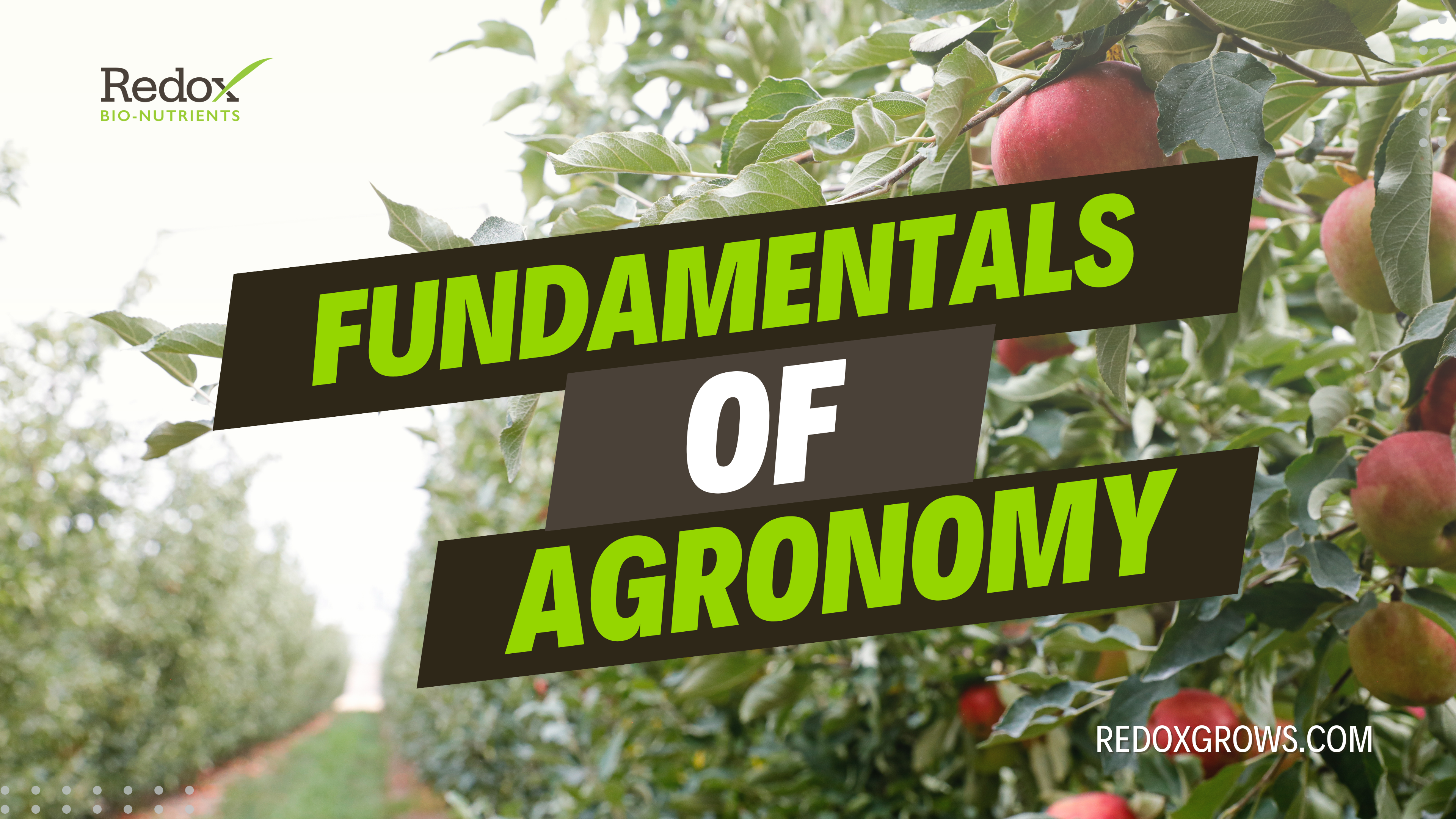 Fundamentals Of Agronomy - AcresTV