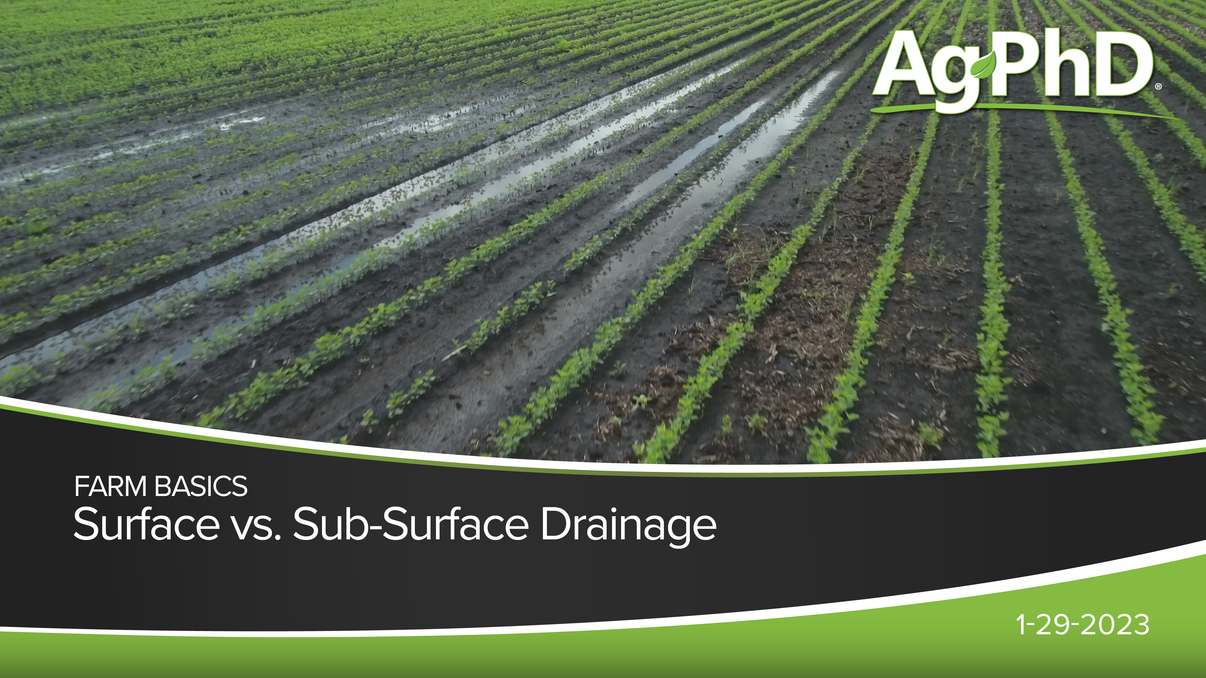 Surface vs Sub-Surface Drainage | Ag PhD