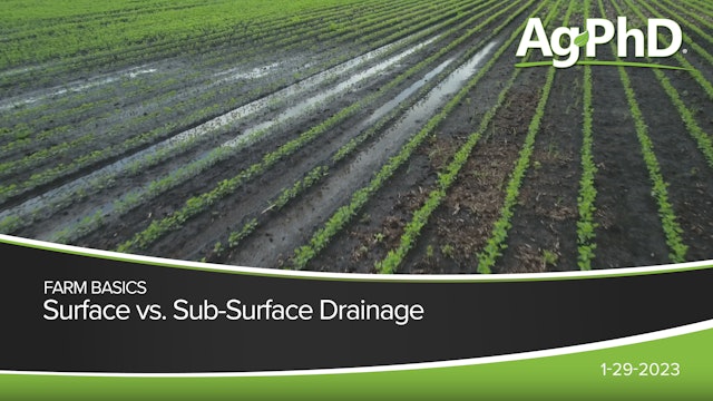 Surface vs Sub-Surface Drainage
