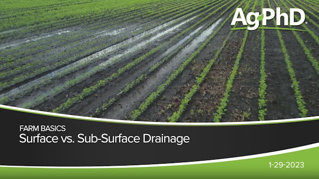 Surface vs Sub-Surface Drainage | Ag PhD
