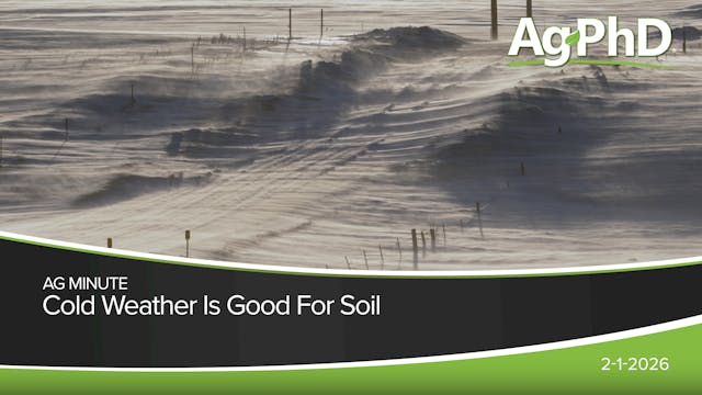 Cold Weather is Good For Soil | Ag PhD