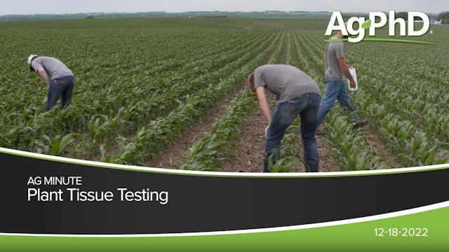 Plant Tissue Testing | Ag PhD