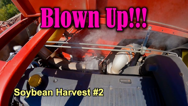 She Finally Blew! Soybean Harvest #2 | Griggs Farms