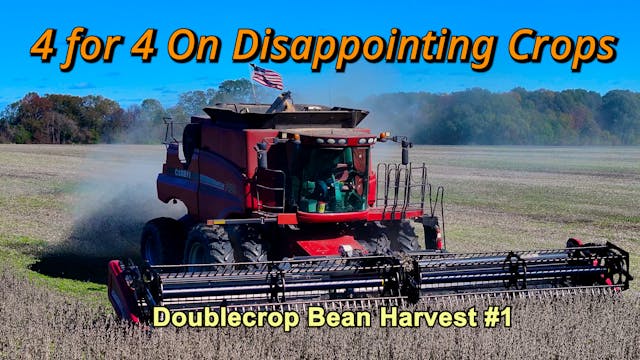 We're 4 for 4 On Disappointing Crops ...