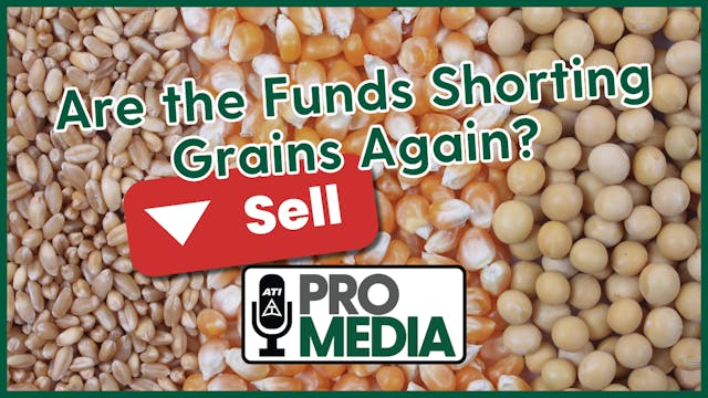 Are the Funds Shorting Grains Again? ...