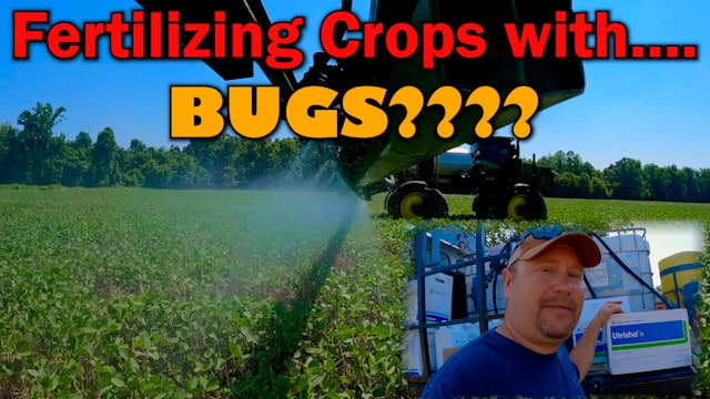 Fertilizing Our Crops With Bugs??? | Griggs Farms