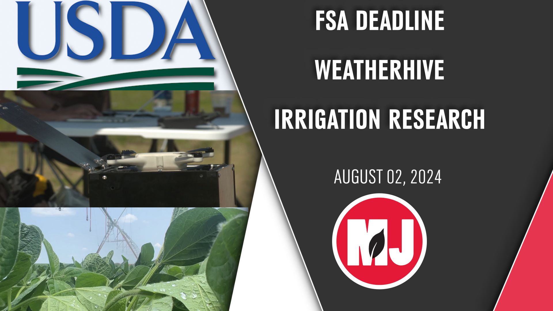 August 02, 2024 | Market Journal