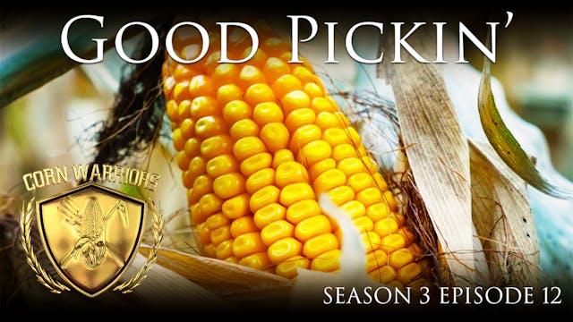 Corn Warriors | 312 | Good Pickin'