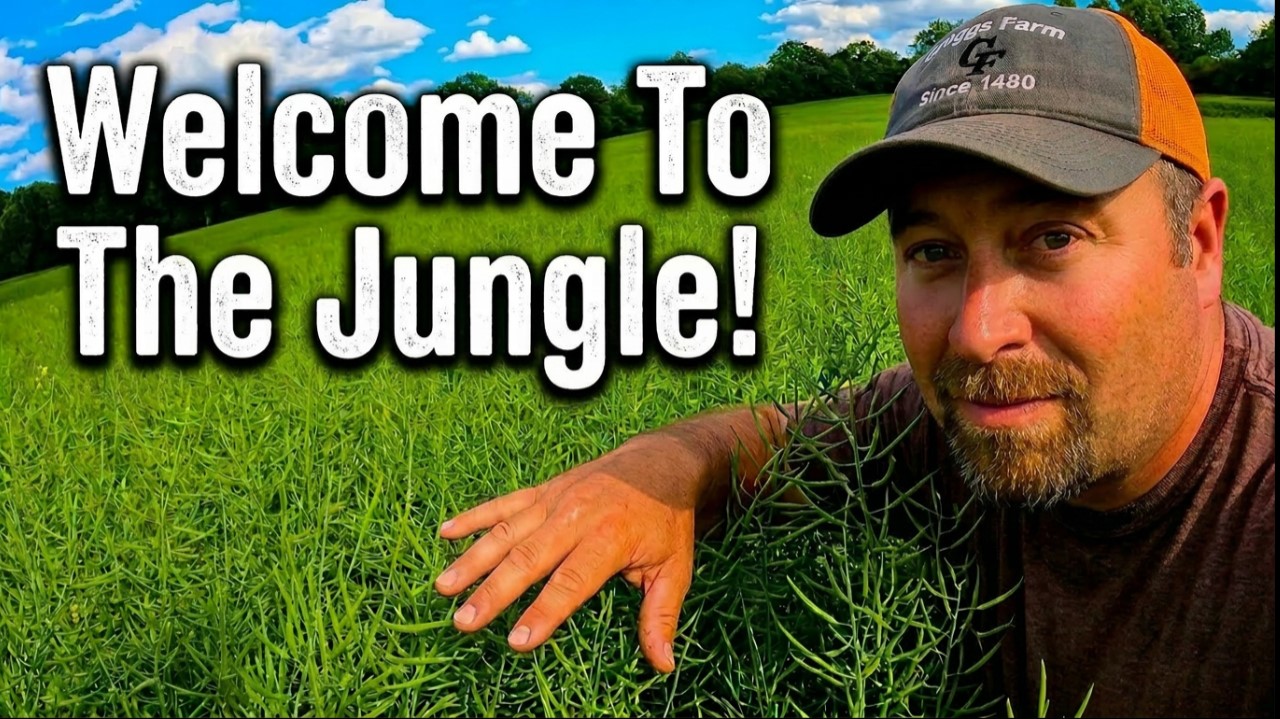 Welcome To the Jungle! | Griggs Farms