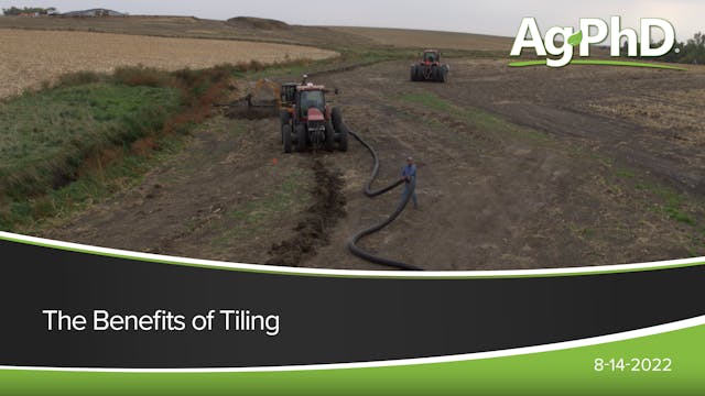 The Benefits of Tiling | Ag PhD