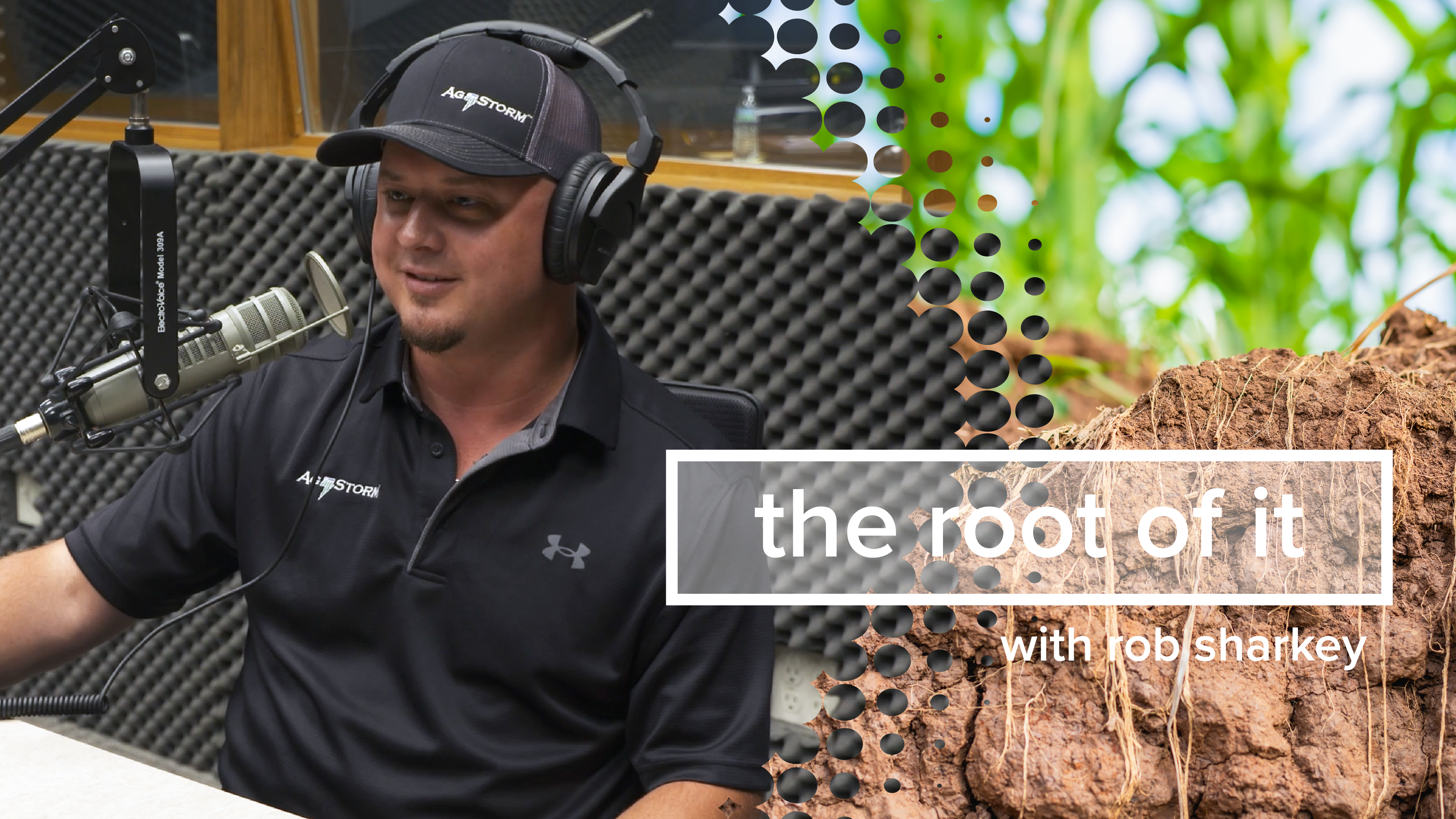 Ben Wenner | The Root of It