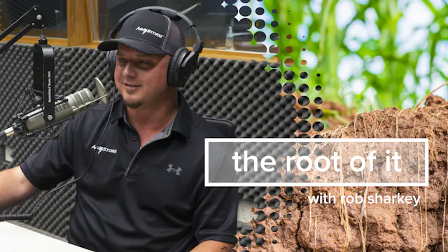 Ben Wenner | The Root of It