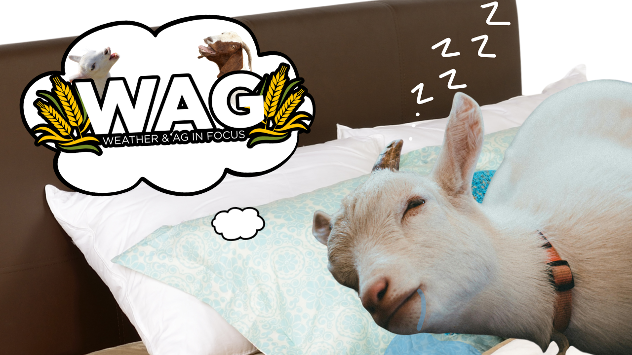 Prelude to the Spring Weather Outlook | WAG in Focus 04-16-26