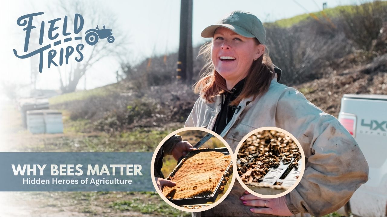 Why Bees Matter: The Hidden Heroes of Agriculture! | Field Trips