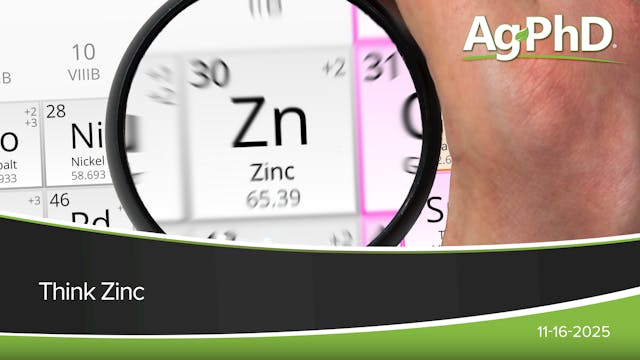 Think Zinc | Ag PhD