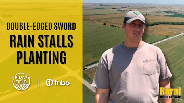 Much-needed rain stalls planting acro...