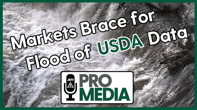 Markets Brace for Flood of USDA Data ...