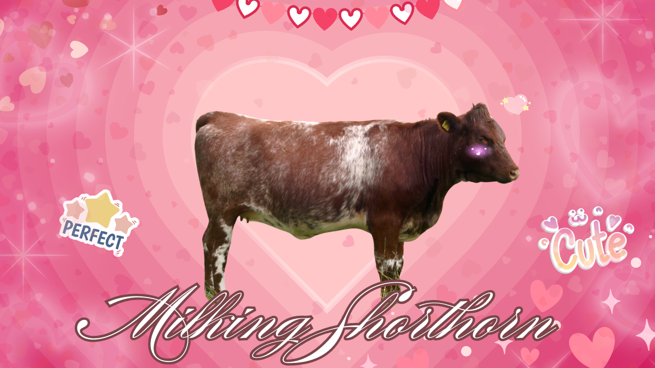 WAG in Focus! | WAG in Focus 06-19-25