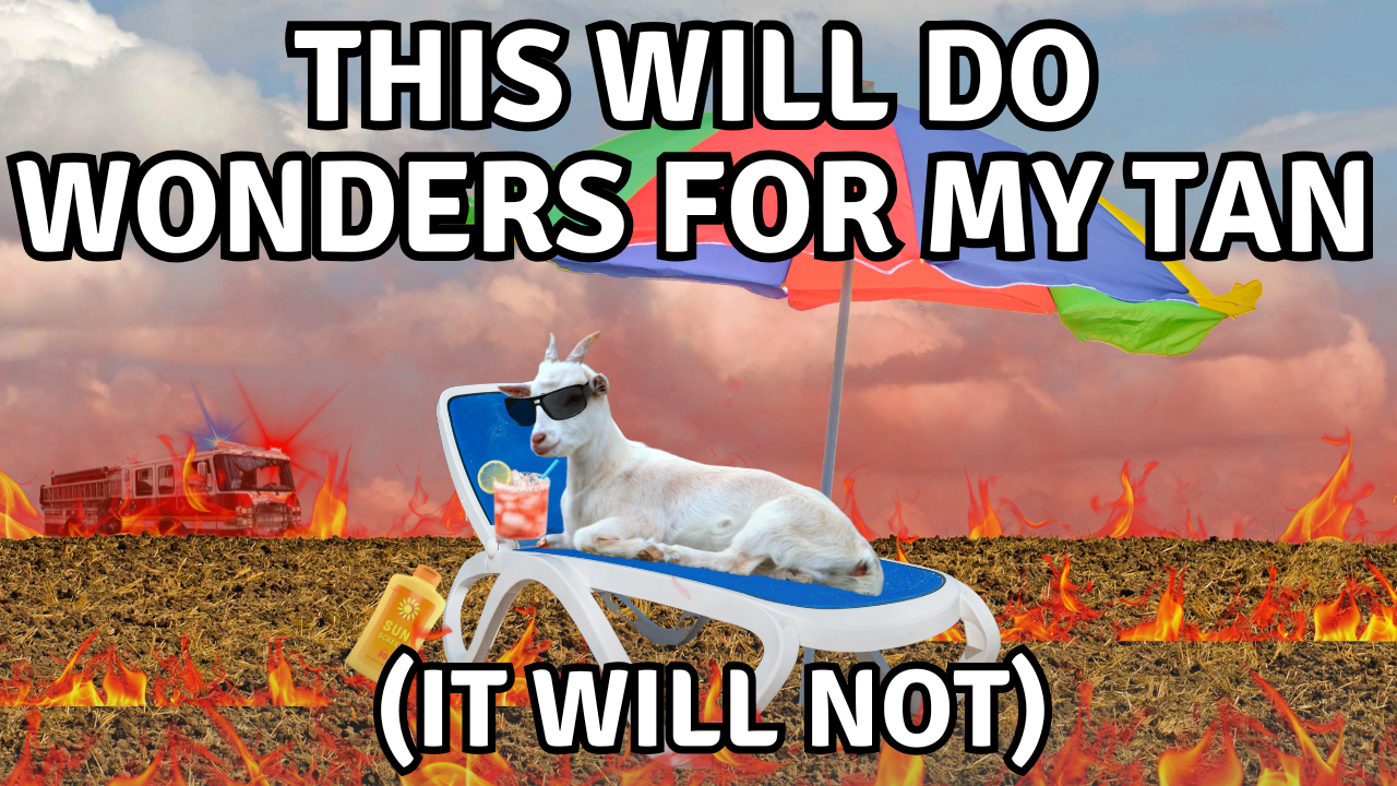 Wildfire Aftermath | WAG in Focus 10-17-24