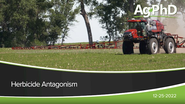 Herbicide Antagonism | Ag PhD