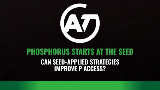 Phosphorus Starts at The Seed: Seed-A...