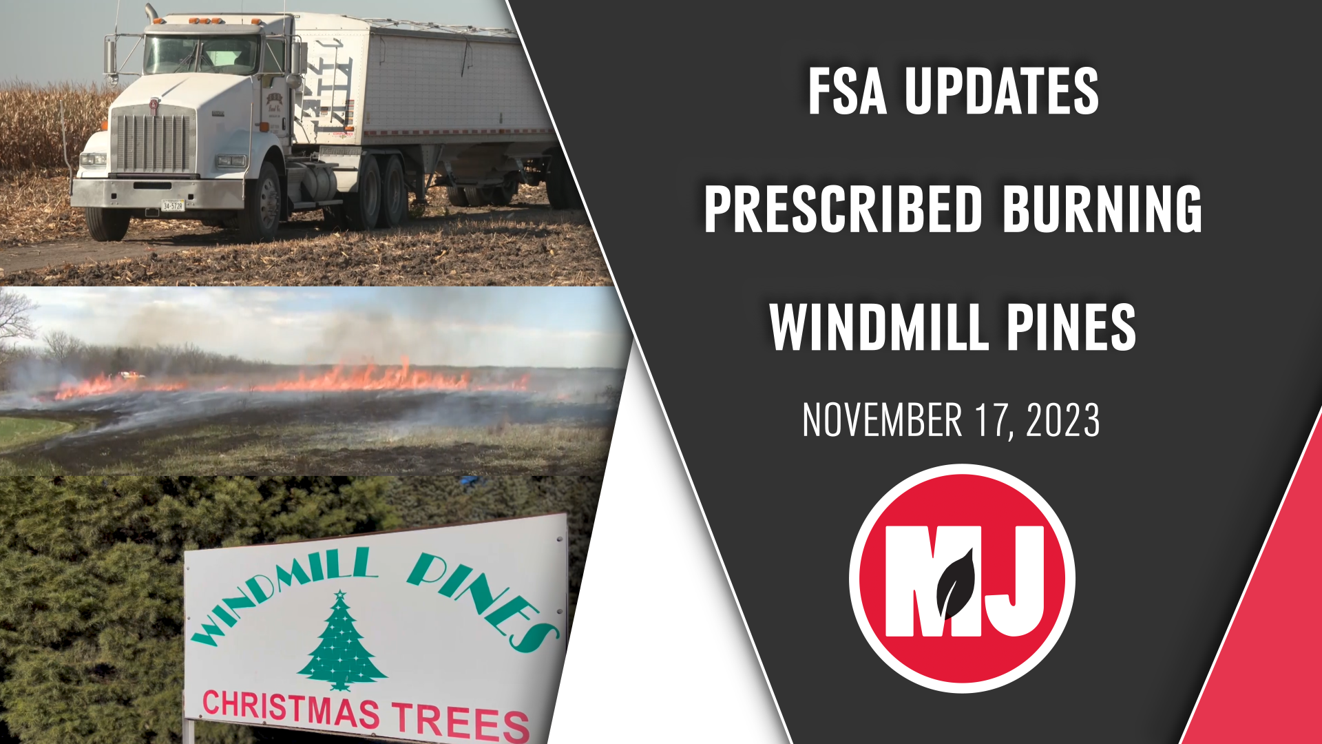 November 17, 2023 | Market Journal