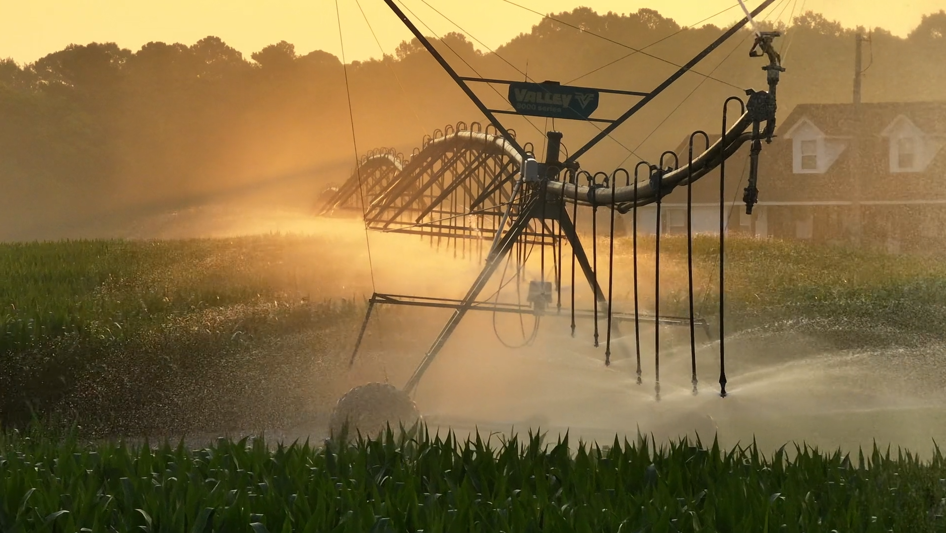 Nutrient Know-How: Oxygen is the Soil's Most Abundant Nutrient | XtremeAg