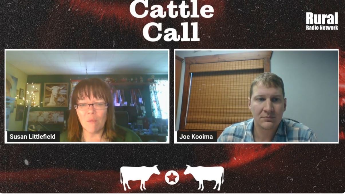 What Happened to Cattle Open Interest | Cattle Call