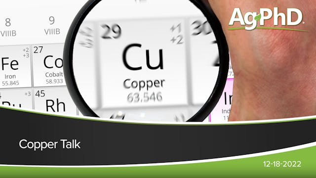 Copper Talk | Ag PhD