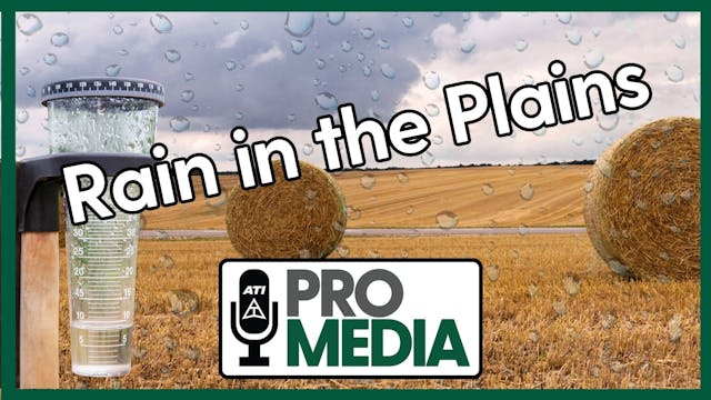 Rain in the Plains | ATI ProMedia 11/...