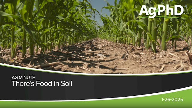 There's Food in Soil | Ag PhD