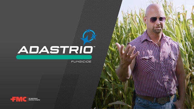 Grower Experience: Controlling Tar Spot With Adastrio™ Fungicide | FMC