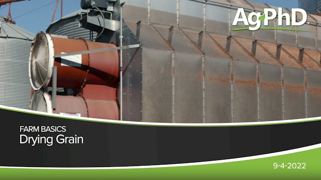 Drying Grain | Ag PhD