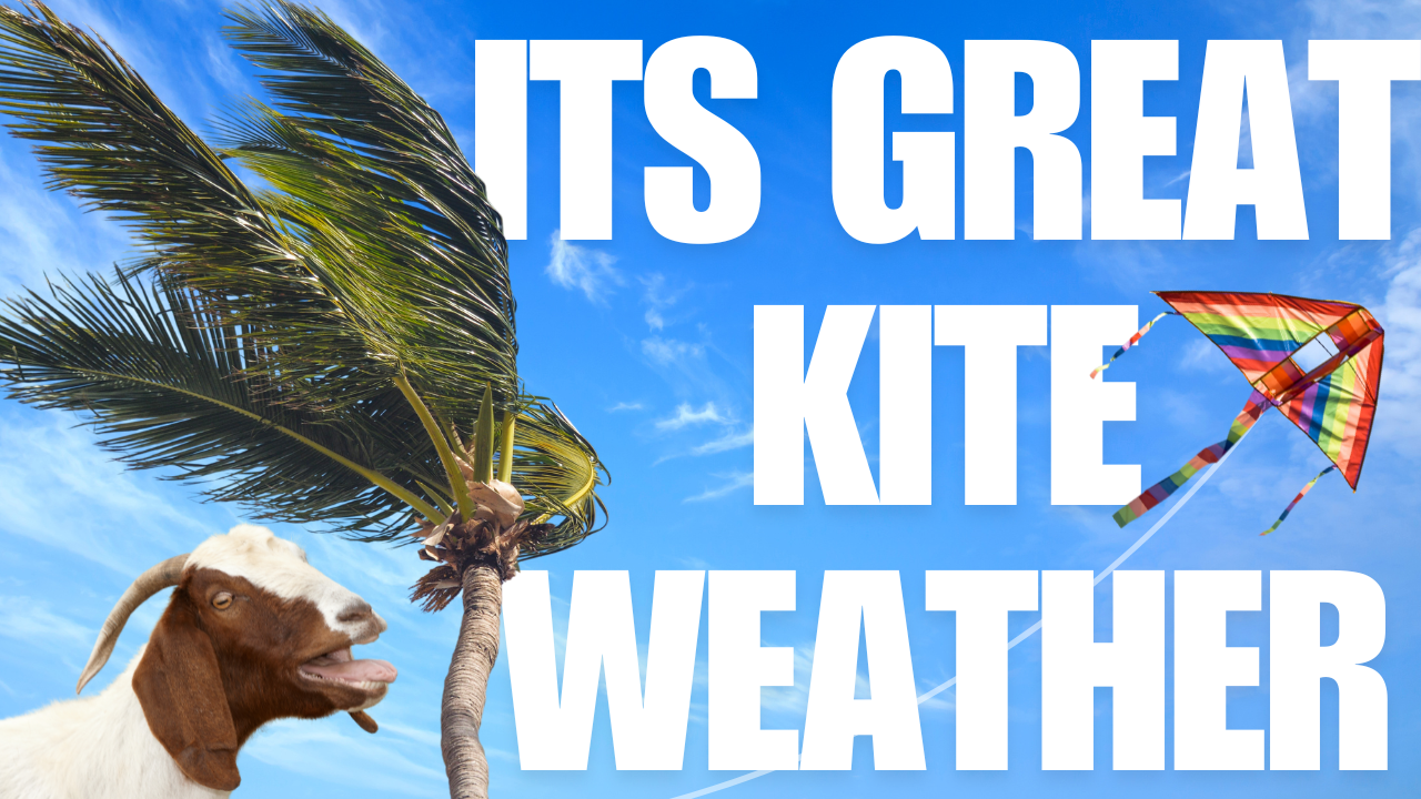 Market Uncovered  | WAG in Focus 02-27-26