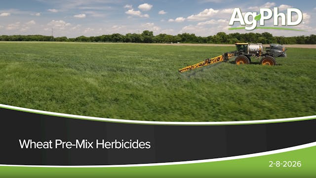 Wheat Pre-Mix Herbicides | Ag PhD