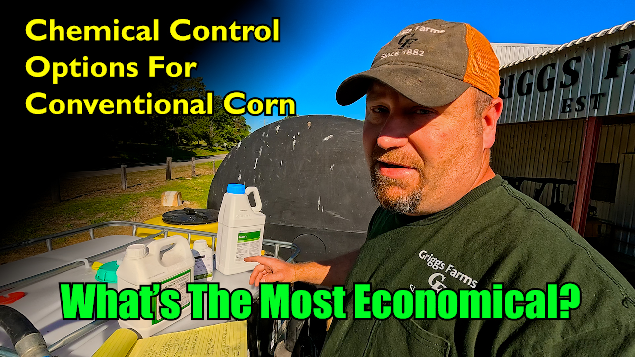 Chemical Control Options for Conventional Corn | Griggs Farms
