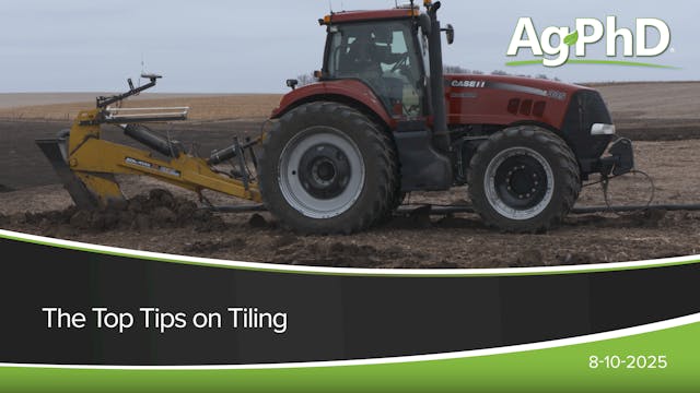 Our Top Tips on Tiling | Ag PhD