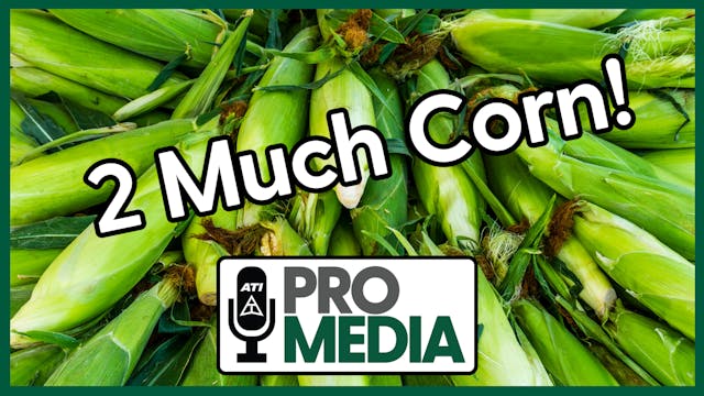 2 Much Corn | ATI ProMedia 10/17/2024