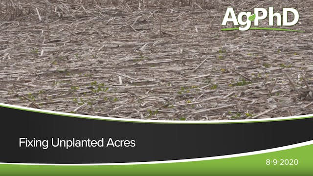 Fixing Unplanted Acres | Ag PhD