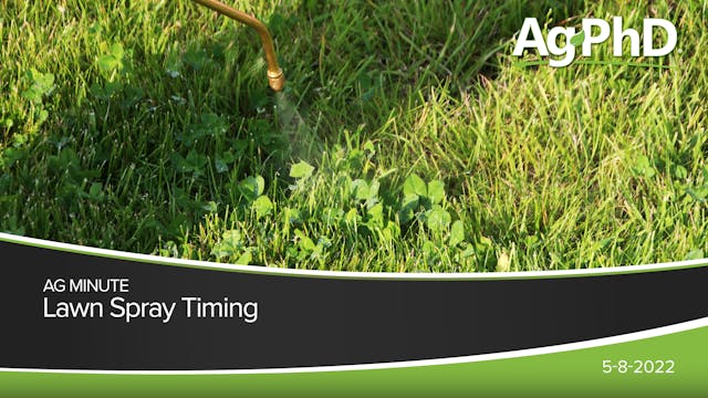 Lawn Spray Timing | Ag PhD