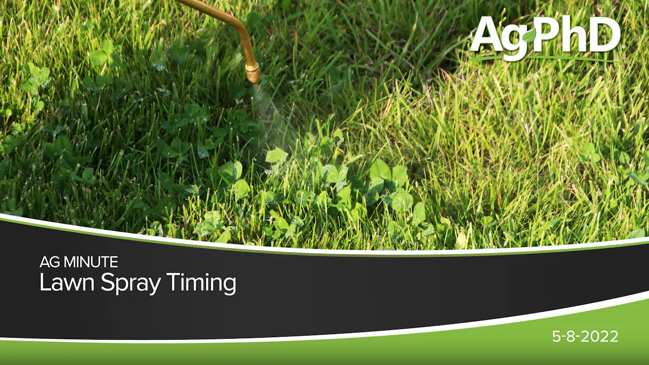 Lawn Spray Timing | Ag PhD - 2022 - AcresTV