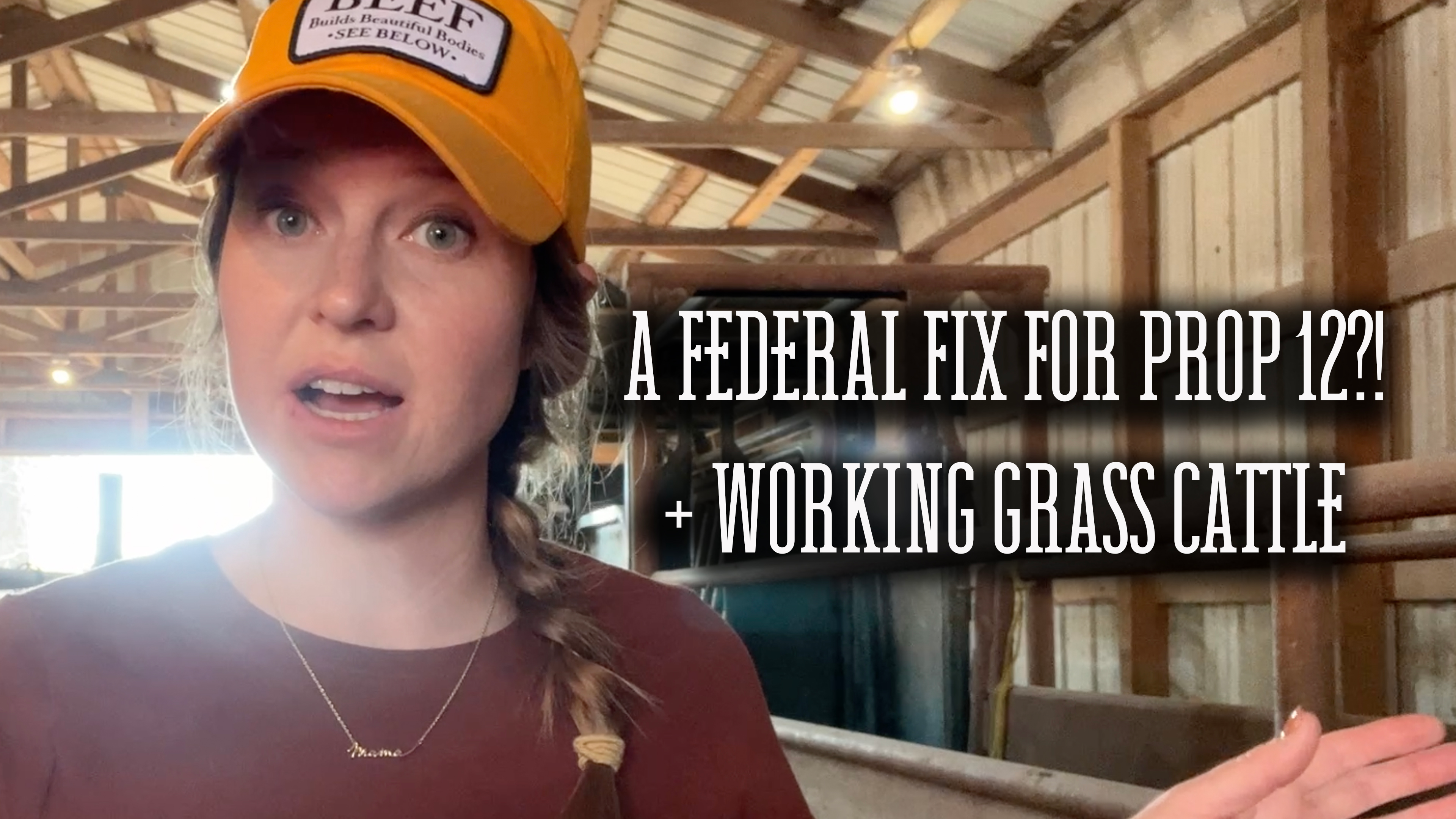 A Federal Fix for Prop 12?! | Buzzard's Beat