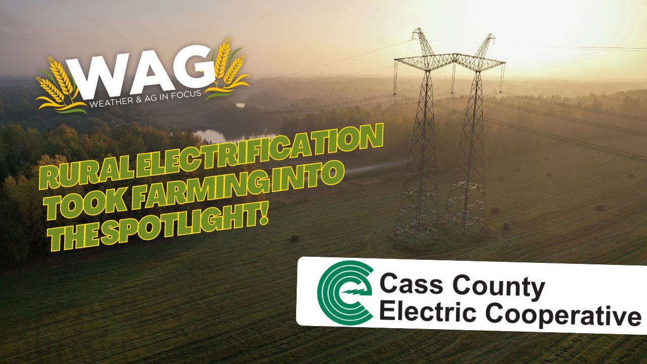 Rural Electrification Took Farming Into the Spotlight | WAG In Focus 11/1/2023