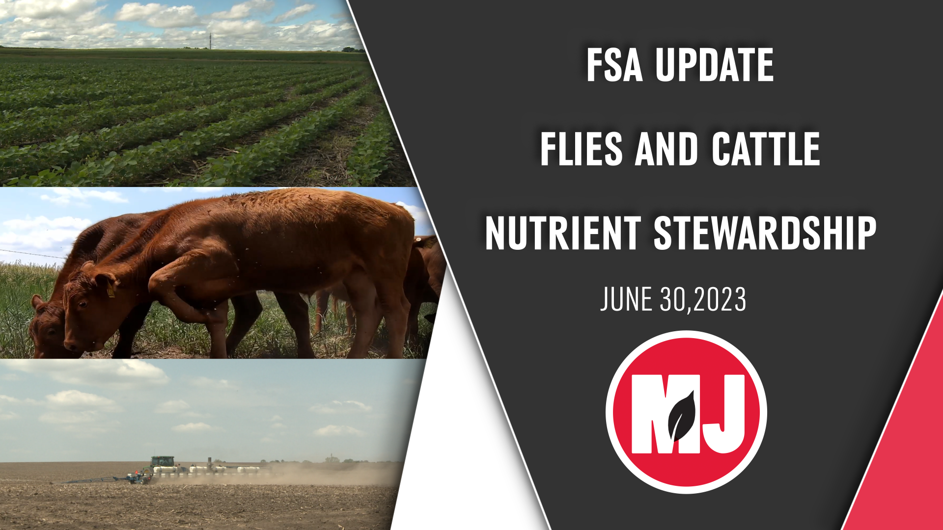 June 30, 2023 | Market Journal