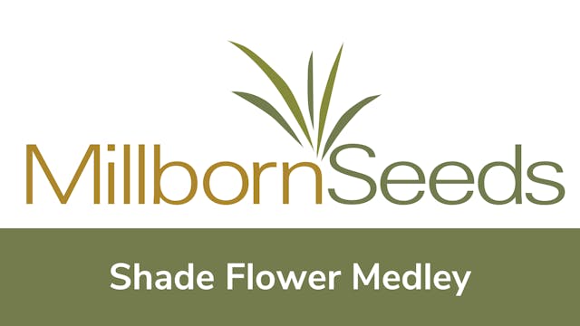 Millborn Seeds - Shade Flower Medley Mix