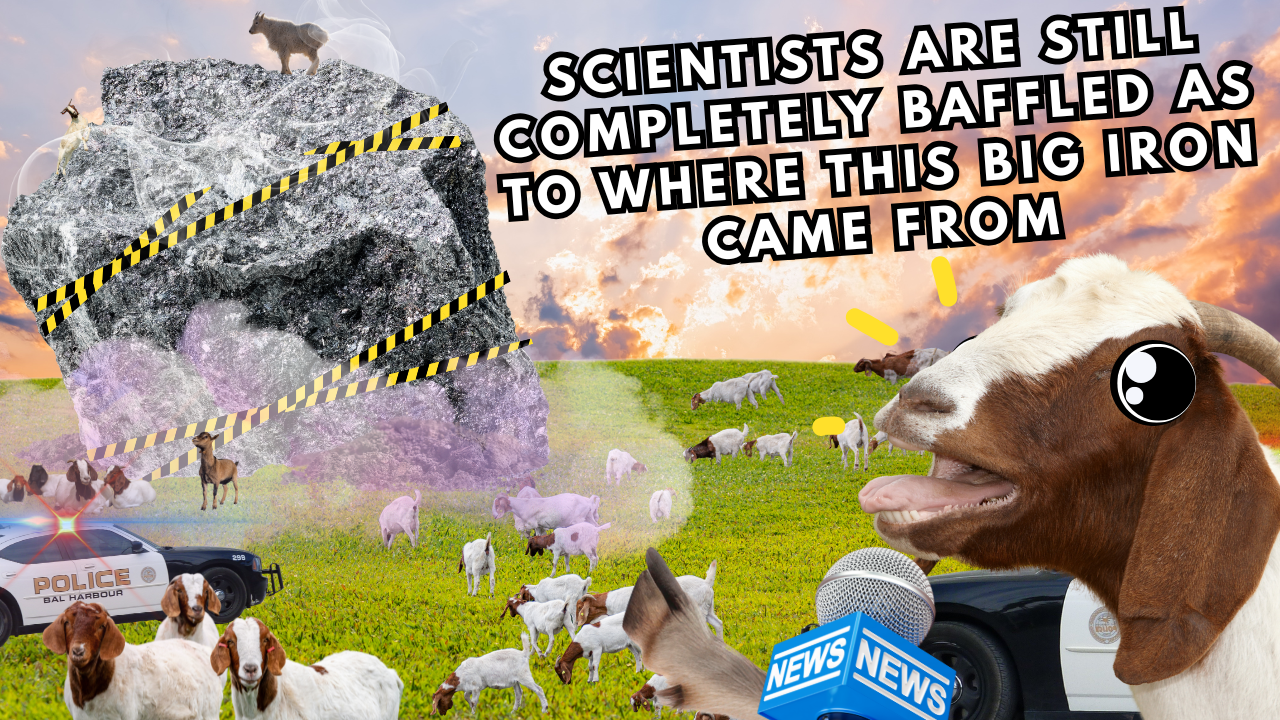 Big Iron! | WAG in Focus 09-09-25