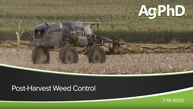 Post-Harvest Weed Control