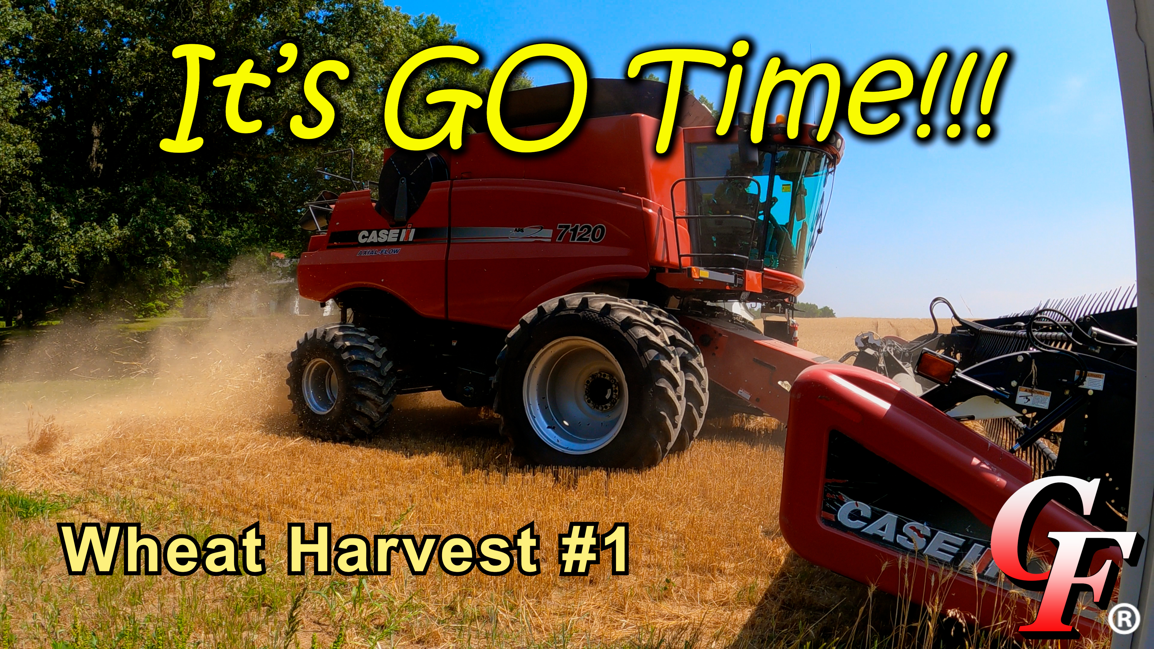 It's GO Time!!! Wheat Harvest #1 | Griggs Farms