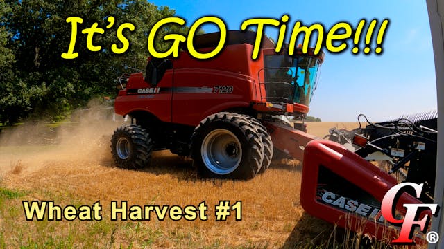 It's GO Time!!! Wheat Harvest #1 | Gr...